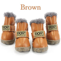 Stylish Warm Boots to Keep Your Furry Baby Warm This Winter